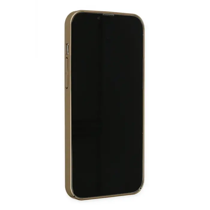 Newface iPhone 13 Pro Kılıf Jack Magneticsafe Lens Silikon - Gold