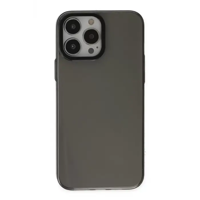 Newface Apple iPhone 13 Pro Max Kılıf Anka PC Sert Metal Kapak - Siyah