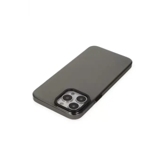 Newface Apple iPhone 13 Pro Max Kılıf Anka PC Sert Metal Kapak - Siyah