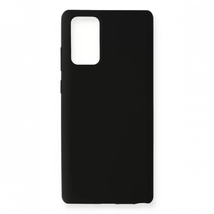 Newface Samsung Galaxy Note 20 Kılıf Nano içi Kadife Silikon - Siyah