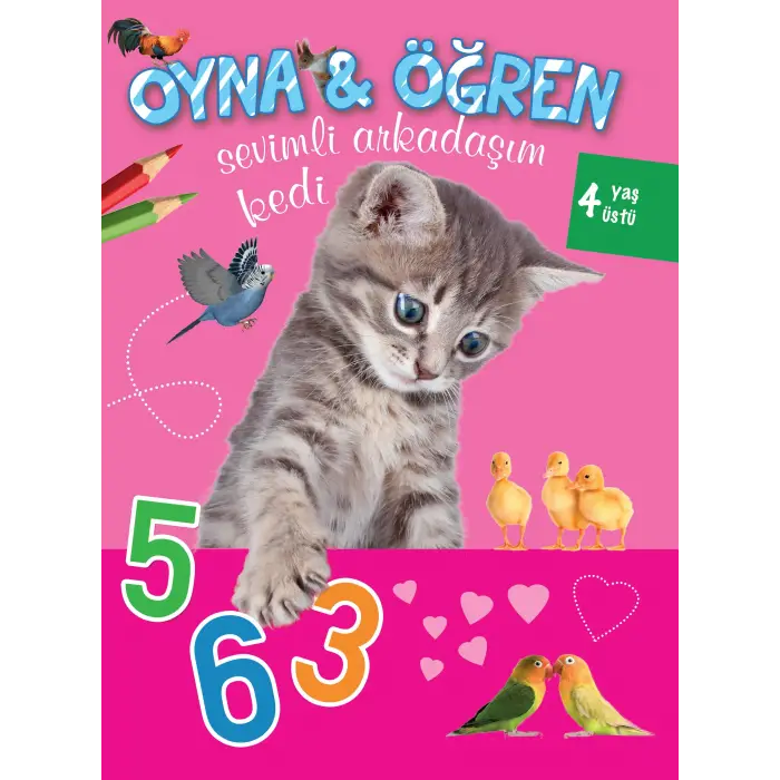 Oyna Öğren Sevimli Arkadaşım Kedi 4 Yaş Üstü