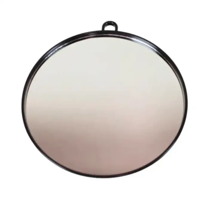 Profesyonel Oval El Aynası