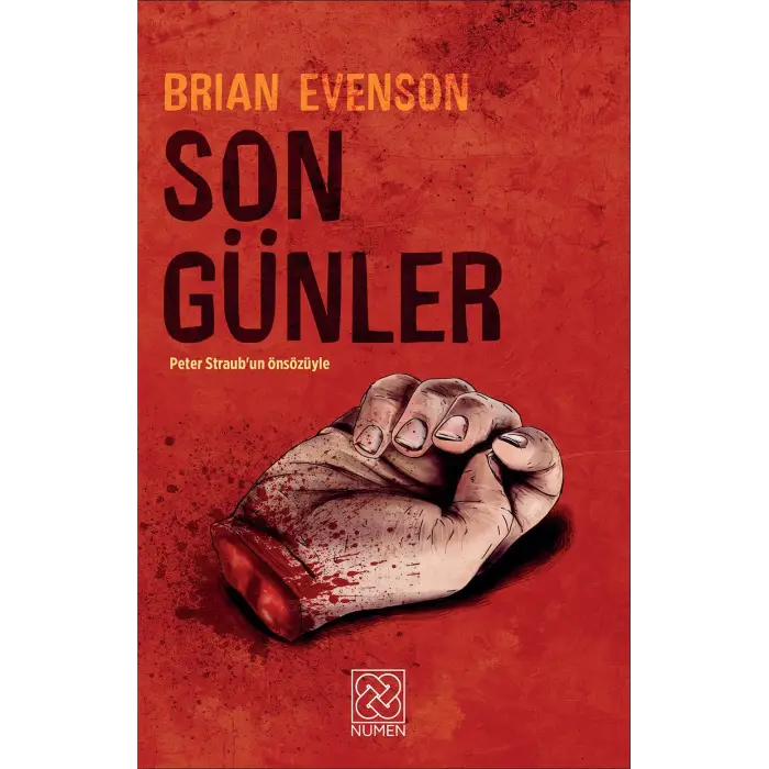 Son Günler