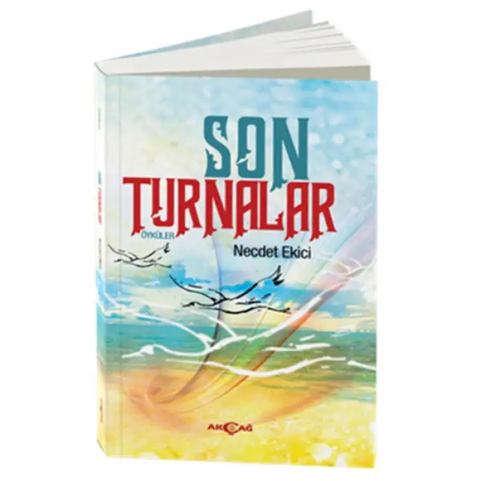 Son Turnalar