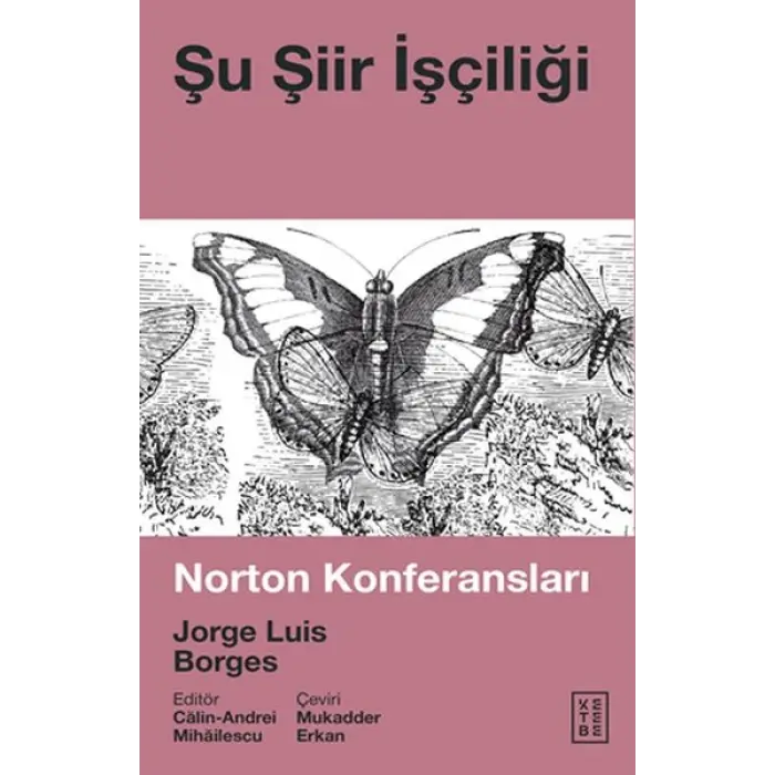 Şu Şiir İşçiliği - Norton Konferansları
