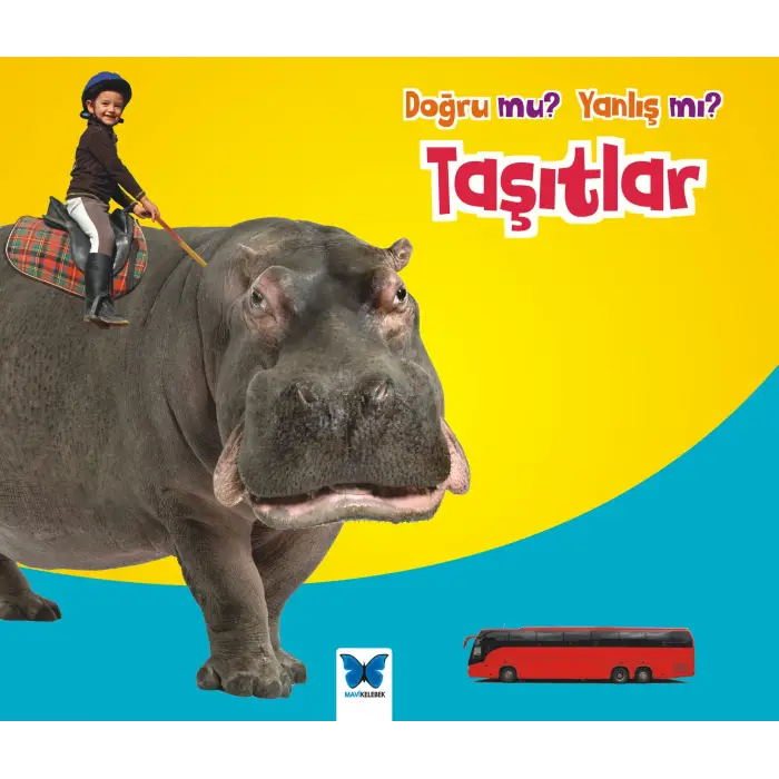 Taşıtlar / Doğru mu? Yanlış mı?