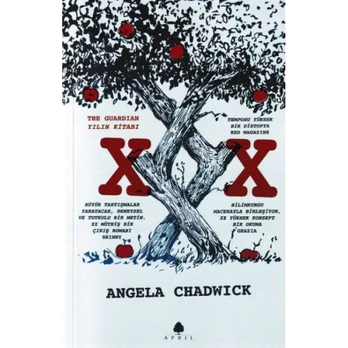 XX