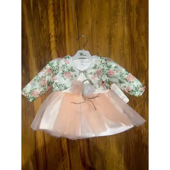 9-18 aylık prenses elbise pudra