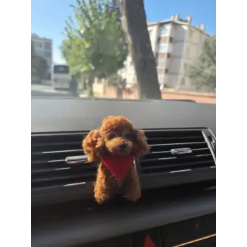 Araç Süsü,Torpido Aksesuarı- Kaniş