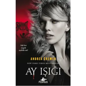 Ay Işığı