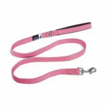 Basic Köpek Gezdirme Tasması Pembe Large