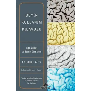 Beyin Kullanım Kılavuzu