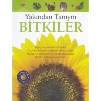 Bitkiler - Yakından Tanıyın