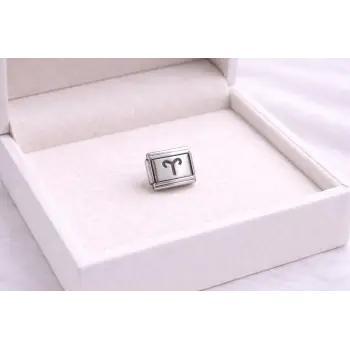 Çelik Nomination Charm Koç Burcu | Paslanmaz Çelik Bileklik Charmı | Burç Temalı Şık Takı