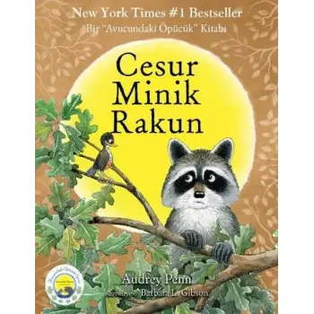Cesur Minik Rakun