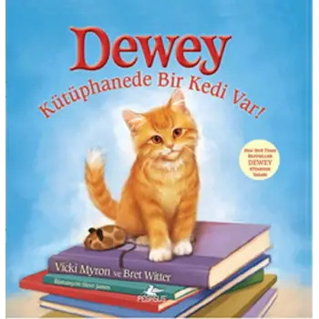 Dewey Kütüphanede Bir Kedi Var!