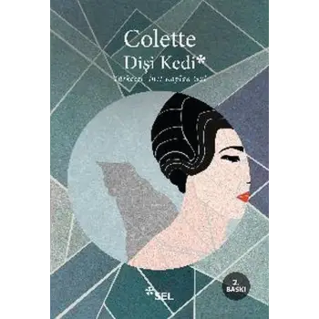 Dişi Kedi