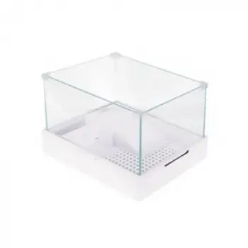 Filtreli Lambalı Cam Kaplumbağa Bahçesi 40x29x25 Cm