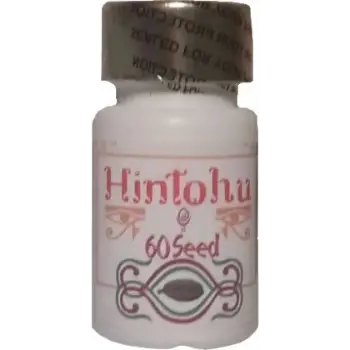 HİNTOHU KAPSÜL