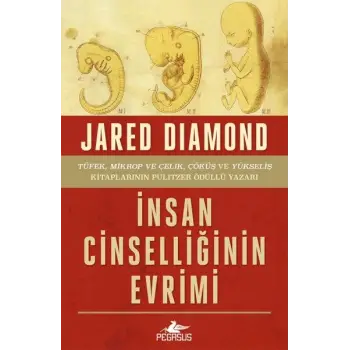 İnsan Cinselliğinin Evrimi - Ciltsiz