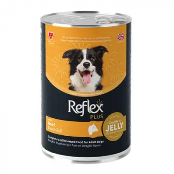 Jöle İçinde Et Parçacıklı Dana Etli Yetişkin Köpek Konservesi 400 Gr