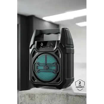 Kablosuz 6.5 İnç TWS Bluetooth Hoparlör