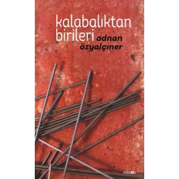 Kalabalıktan Birileri (Ciltli)