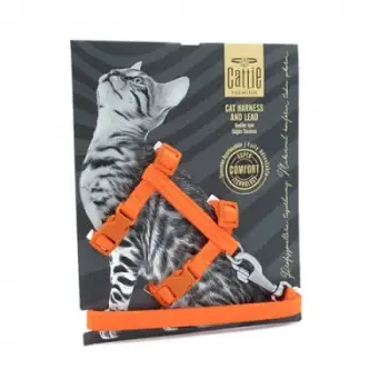 Kedi Göğüs ve Gezdirme Tasma Takımı Turuncu 1x25-40 Cm
