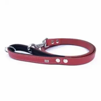 Konfor Klasik Deri Köpek Gezdirme Tasması Kırmızı 2x140 Cm