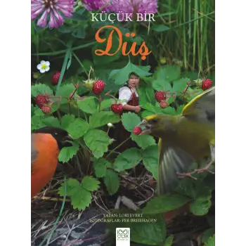 Küçük Bir Düş