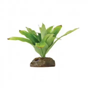 Küçük İpek Neoregelia Plastik Teraryum Bitkisi