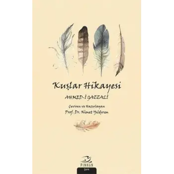 Kuşlar Hikayesi