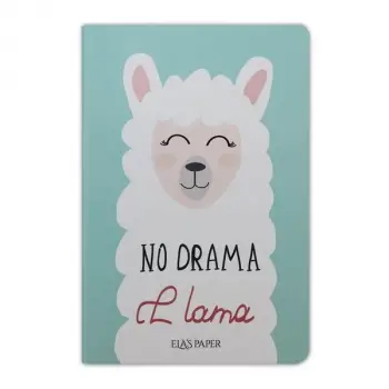 Lama Notebook Su Yeşili - Defter
