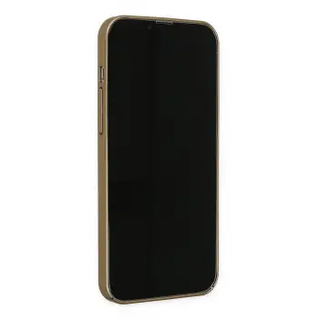 Newface iPhone 13 Pro Kılıf Jack Magneticsafe Lens Silikon - Gold