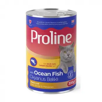 Okyanus Balıklı Pate Yetişkin Kedi Konservesi 12 Adet 395 Gr