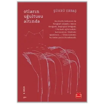 Otların Uğultusu Altında