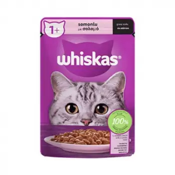 Pouch Sos İçinde Somonlu Yetişkin Kedi Konservesi 6 Adet 85 Gr