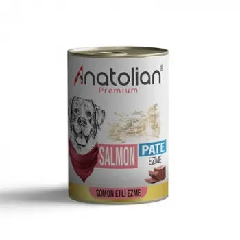 Premium Somonlu Ezme Yetişkin Köpek Konservesi 400 Gr