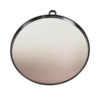Profesyonel Oval El Aynası