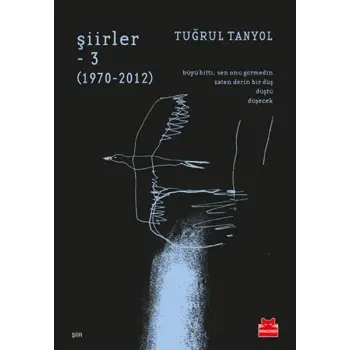 Şiirler - 3 (1970-2012)