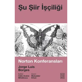Şu Şiir İşçiliği - Norton Konferansları