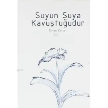 Suyun Suya Kavuştuğudur