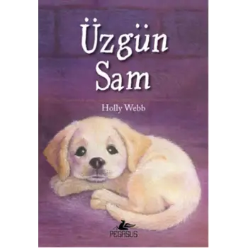 Üzgün Sam