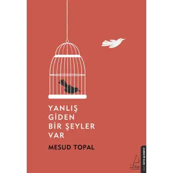 Yanlış Giden Bir Şeyler Var