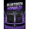 6.5 İnç Kablosuz Hoparlör Bluetooth Bağlantılı Yüksek Ses