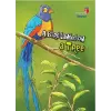 A Bird Landed On A Tree - Respect