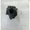 Ayı Tasarım Siyah 3D Duvar Heykeli