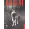Aykırı