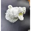 Beyaz Renk 3D Ayı Başı Duvar Dekoru