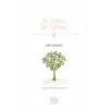 Bir Şeftali Bin Şeftali